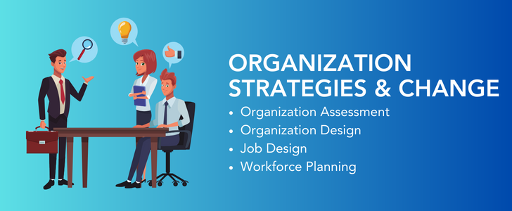 Organisation Strategies and Change